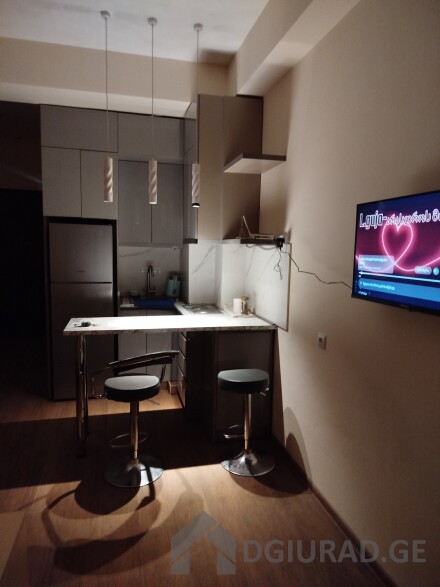 Rent daily on Saburtalo, Tsintsadze 17